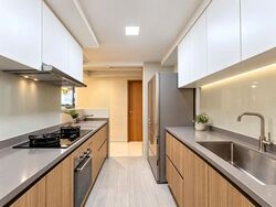 Rivercove Residences (D19), Condominium #624538781